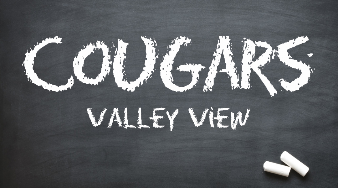 Valley View School District, Archbald, Eynon, Jessup, Blakely, Peckville