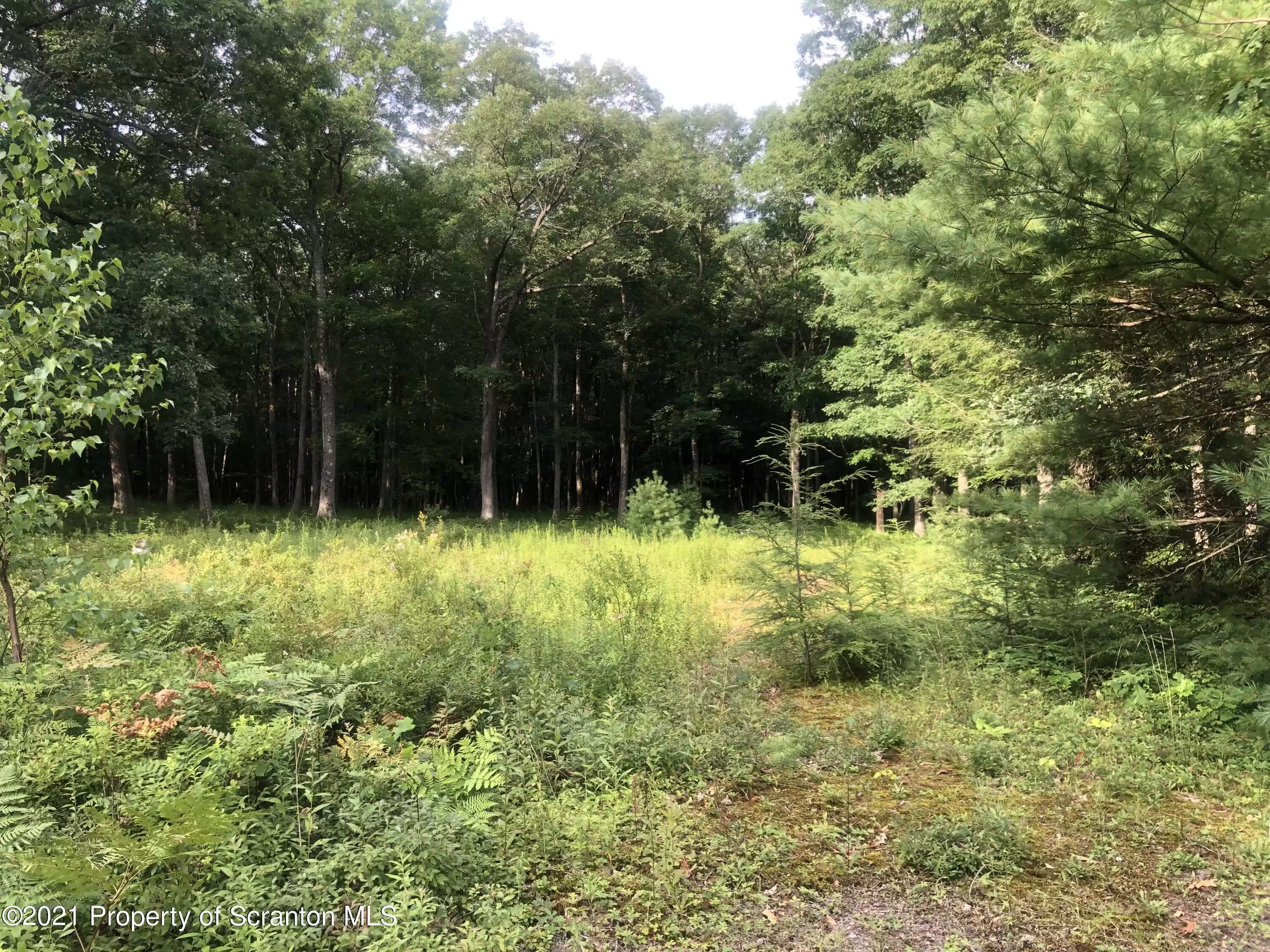 Route 115, Buck Twp, Pennsylvania 18661, ,Land,For Sale,Route 115,GSB213535