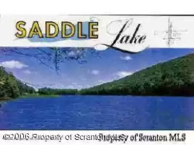 saddle lake 2