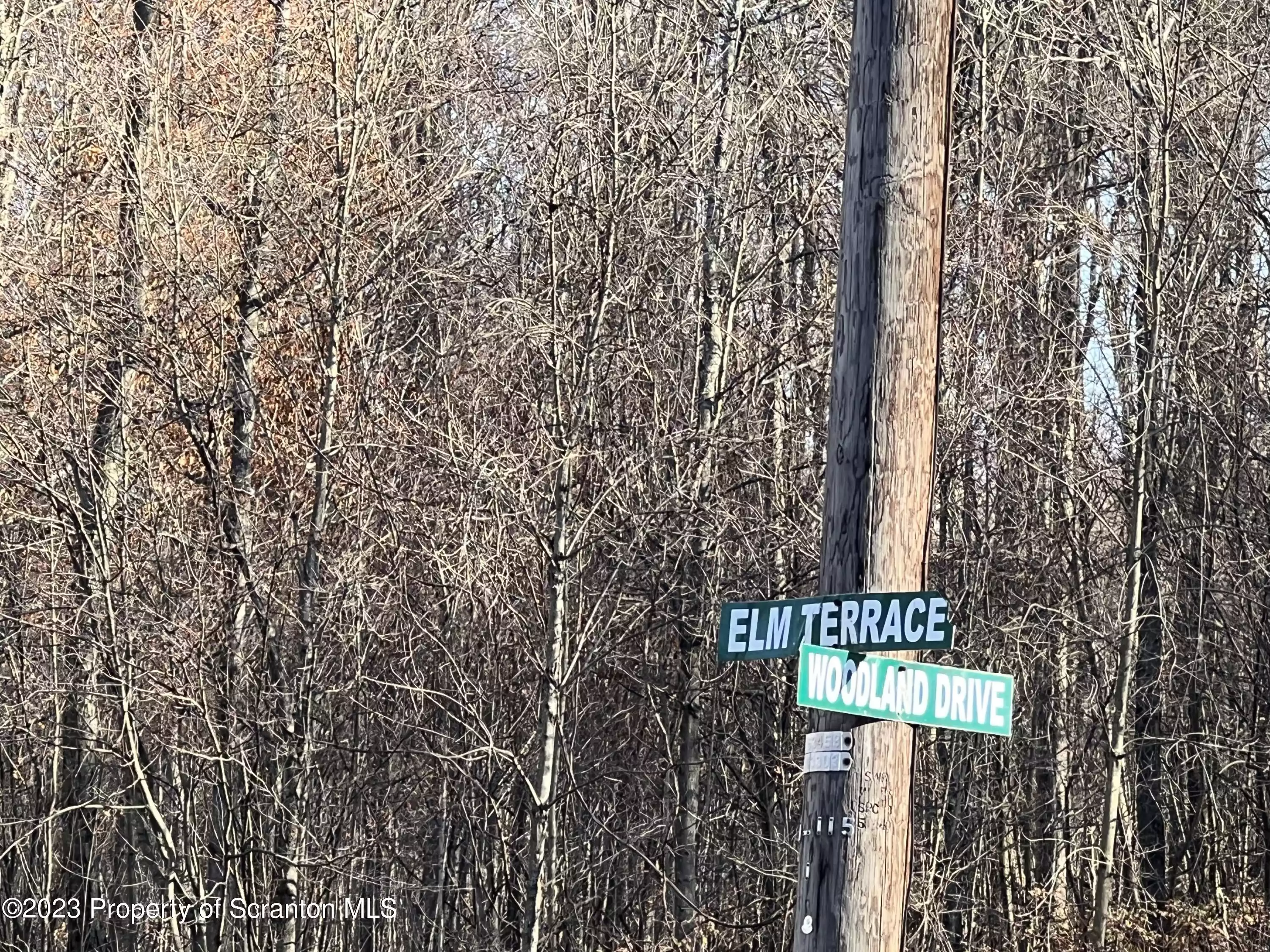 Elm Terrace, Sterling Twp, Pennsylvania 18463, ,Land,For Sale,Elm,GSB235103