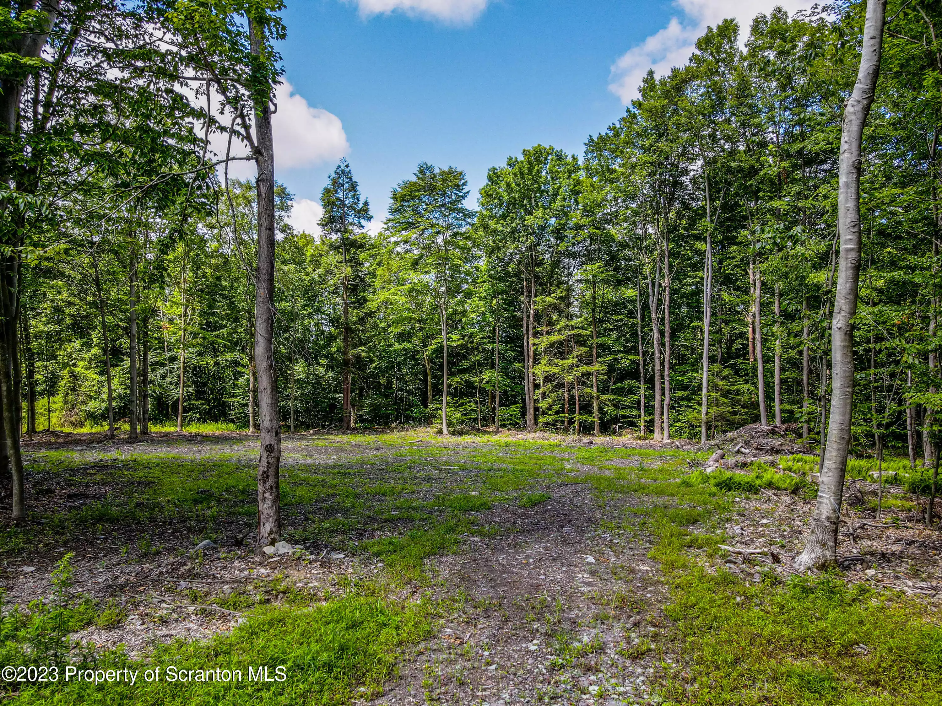 Lot #31 Wright Way, Factoryville, Pennsylvania 18419, ,Land,For Sale,Wright,GSB232337