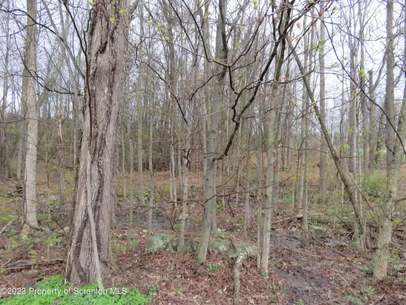 Wooded 2.38 acre Commerical Property