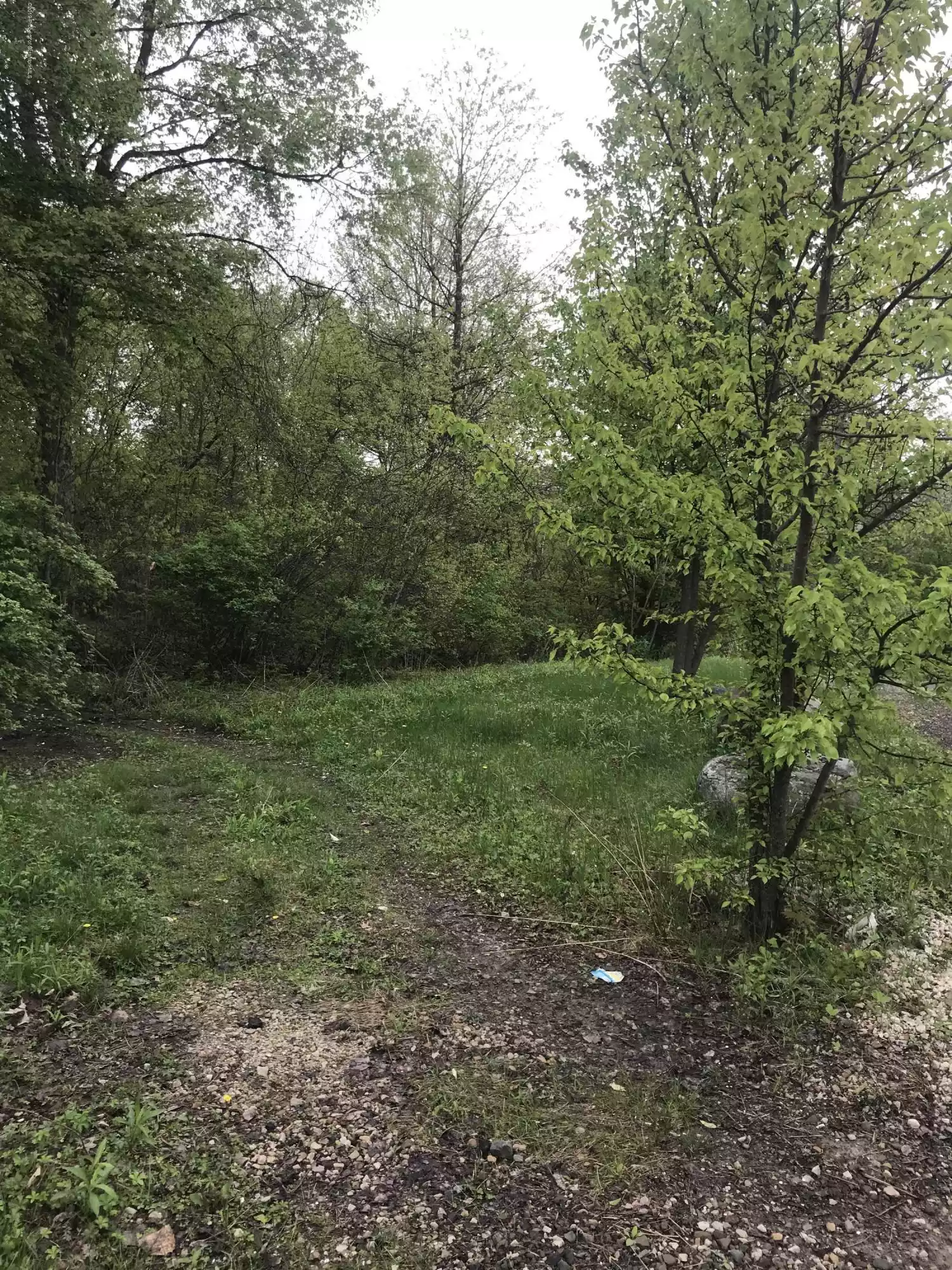 Pine Drive, Mayfield, Pennsylvania 18433, ,Land,For Sale,Pine,GSB2373