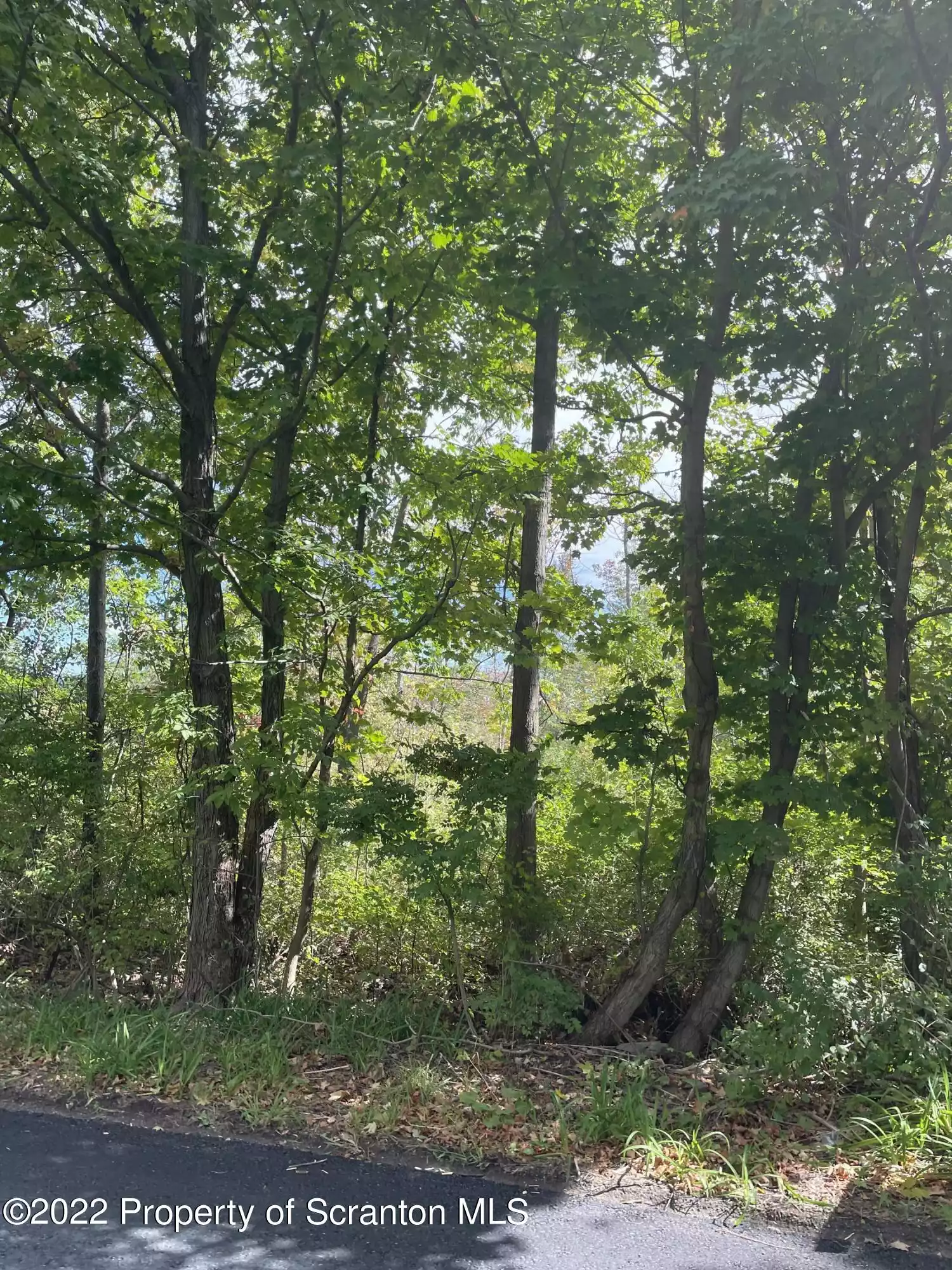 Griffin Pond Road, South Abington Twp, Pennsylvania 18411, ,Land,For Sale,Griffin Pond,GSB215495